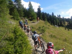 Mountain Bike_Ayas_Patta Libra (3)